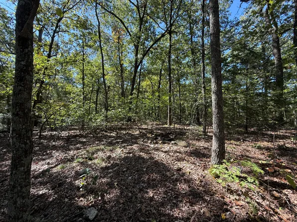 38.84 Ac Prayer Garden Ln, Lampe, MO 65681