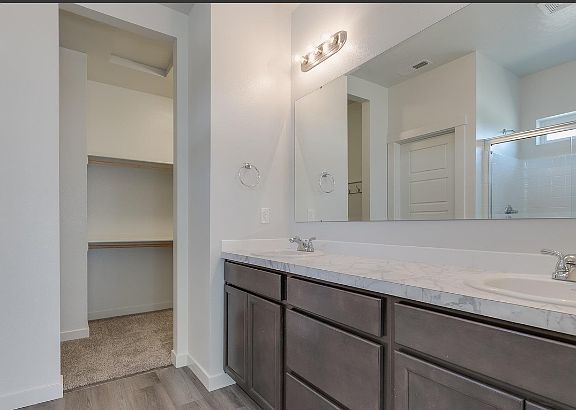 Master bathroom and master closet (walk in shower not shown)