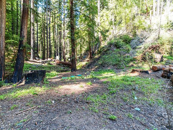 5th image of 11800 Clear Creek Rd