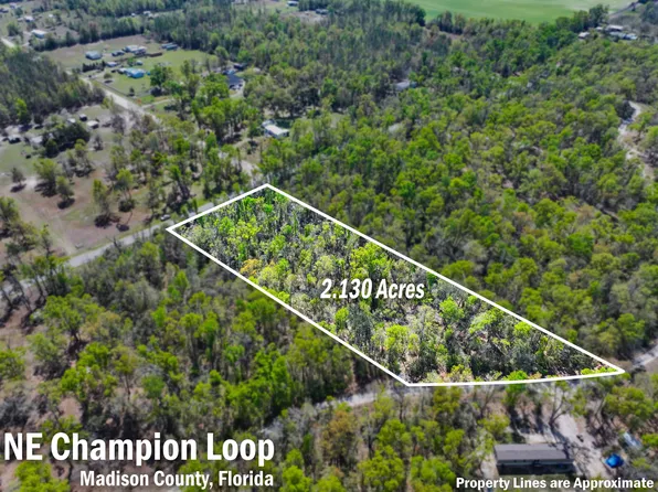 NE Champion Loop, Lee, FL 32059