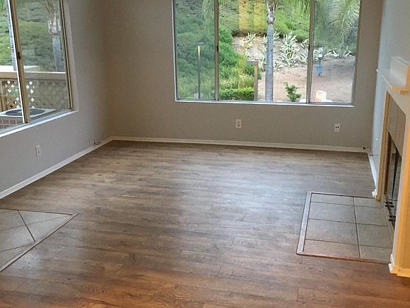 Living room, lots of windows and sunshine, gas fireplace, hardwood style floors
