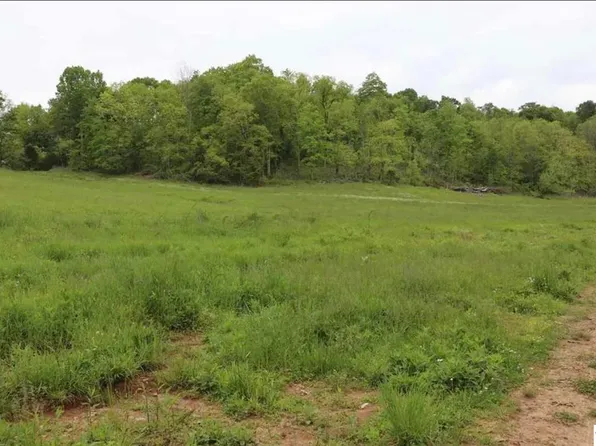 0 Pitcock Branch Rd, Tompkinsville, KY 42167