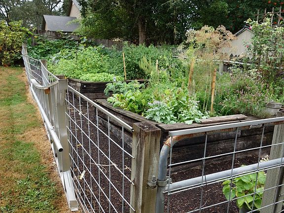 Fenced Garden
