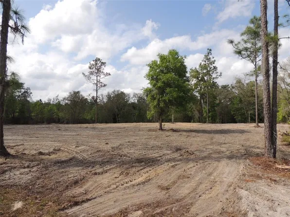 Tbd Ne 81st St, Bronson, FL 32621