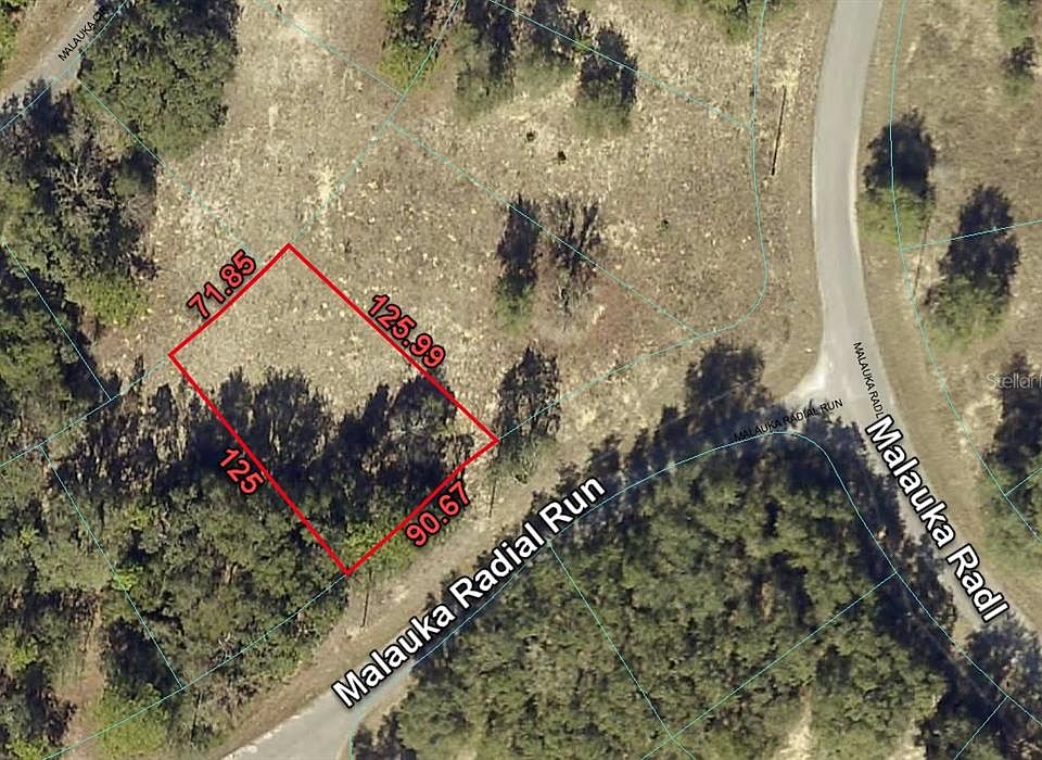 1st image of 3 MALAUKA RADIAL RUN LOT 17