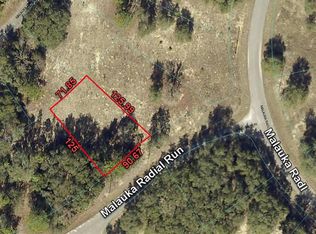 3 Malauka Radial Run #17, Ocklawaha, FL 32179