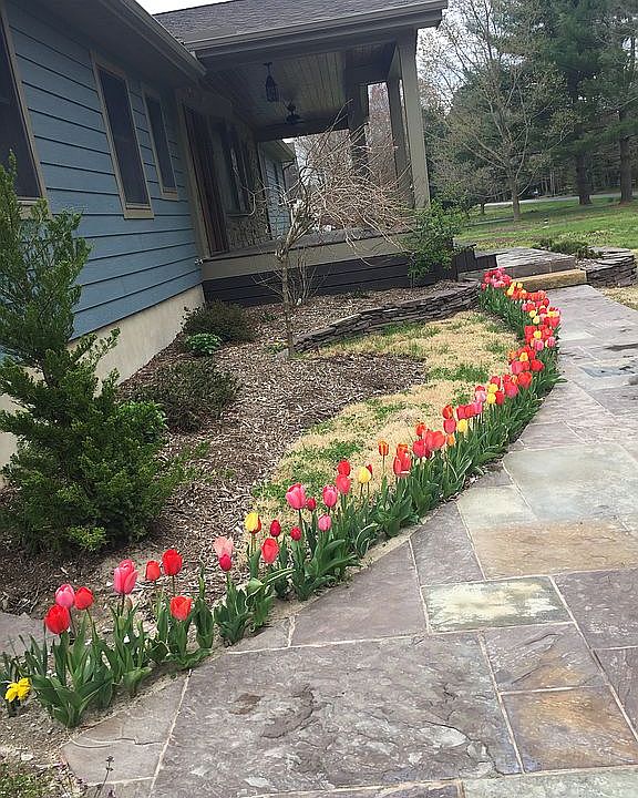 2nd image of 28 Pinewater Dr