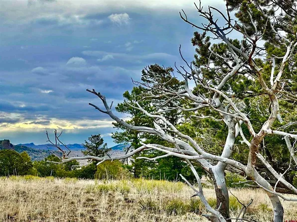 311 Vista De Verde Circle, South Fork, CO 81154