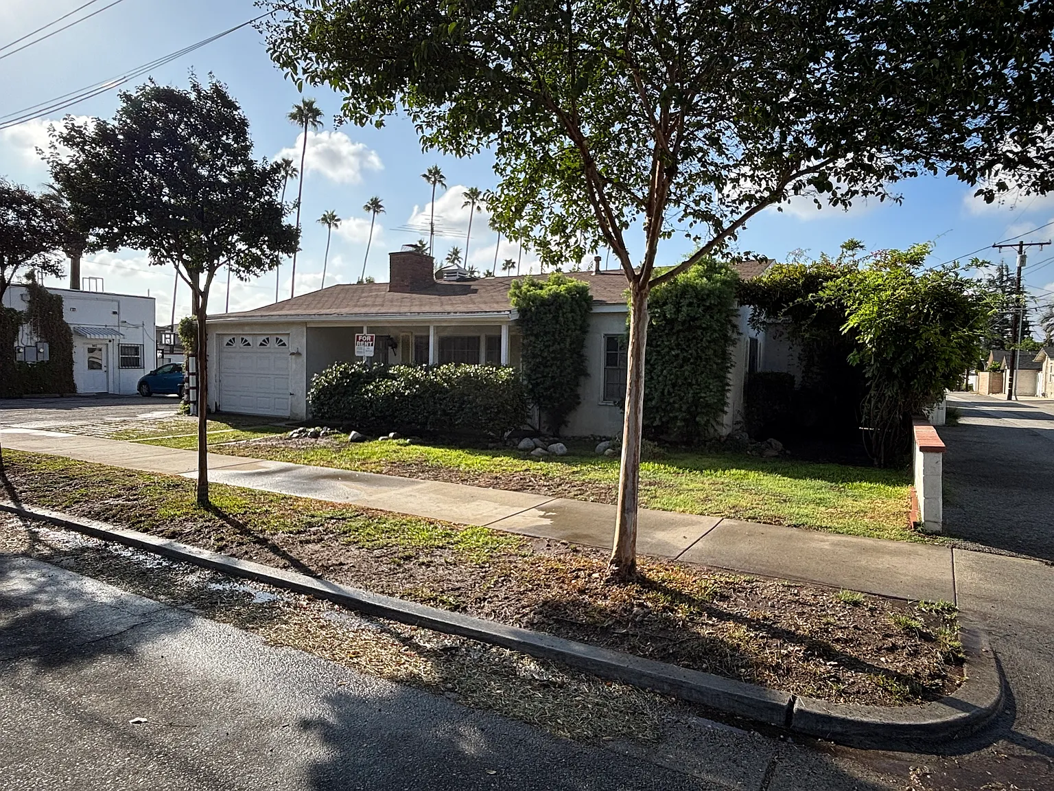 2 bed, 784 sqft, $2,000 — Photo 2