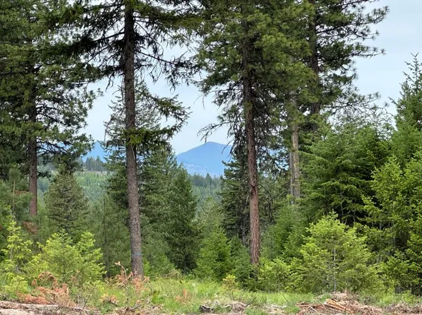 LOT-36XX Sheridan Rd #D, Republic, WA 99166