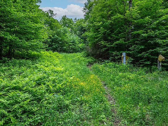 3rd image of 24 Sawmill Road