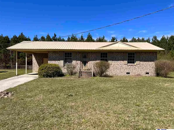 60 Sampson Rd, Hemingway, SC 29554