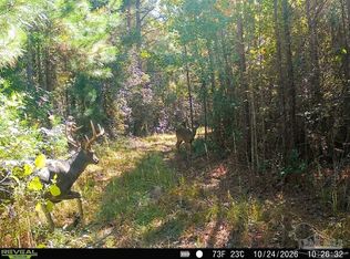 Snider St, Frisco City, AL 36445