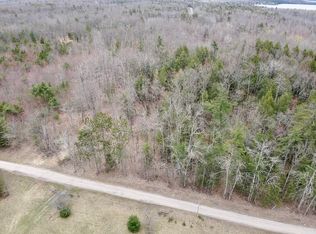 Par 3 Needles Rd, Indian River, MI 49749