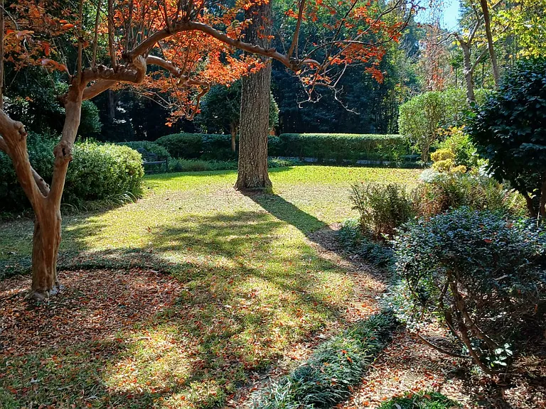 The Virginia-native plant garden surrounds the one-acre grounds.