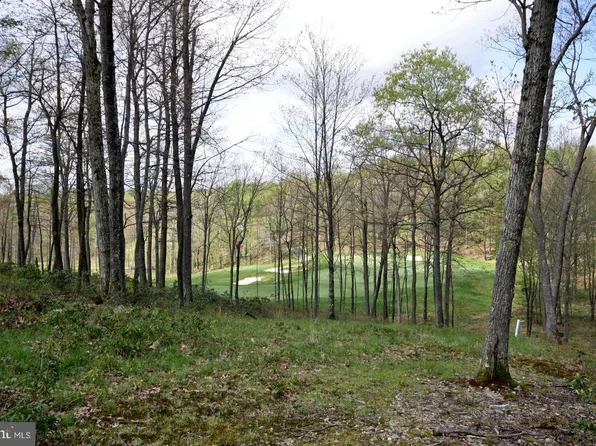 6 Greenbrier Dr, Mc Henry, MD 21541