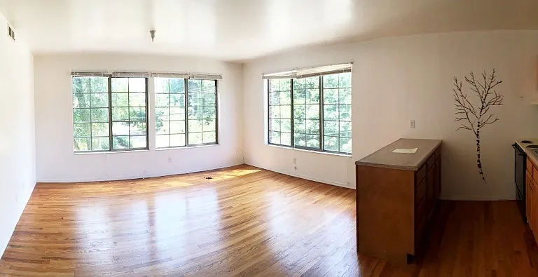 302 S Cedar St — Photo 10