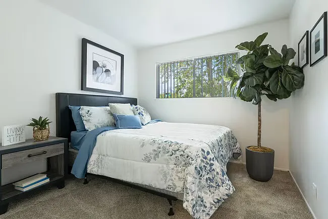 Sandpiper Cove Apartments — Photo 10