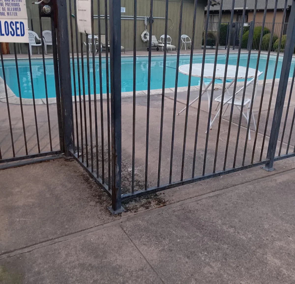 2 bed, 1000 sqft, $1,500 — Photo 3