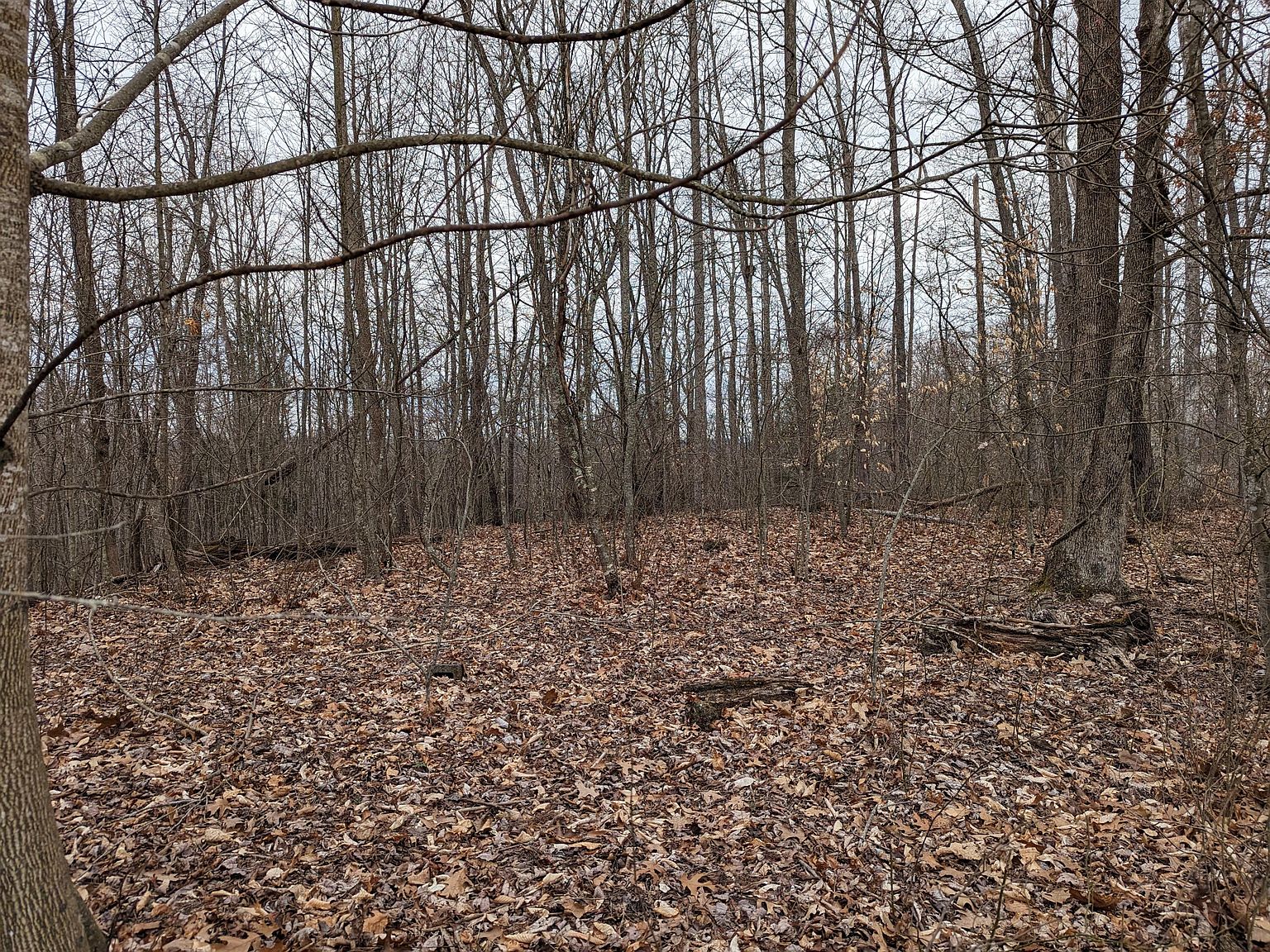 Viers Rdg, Haysi, VA 24256 MLS 9949076 Zillow