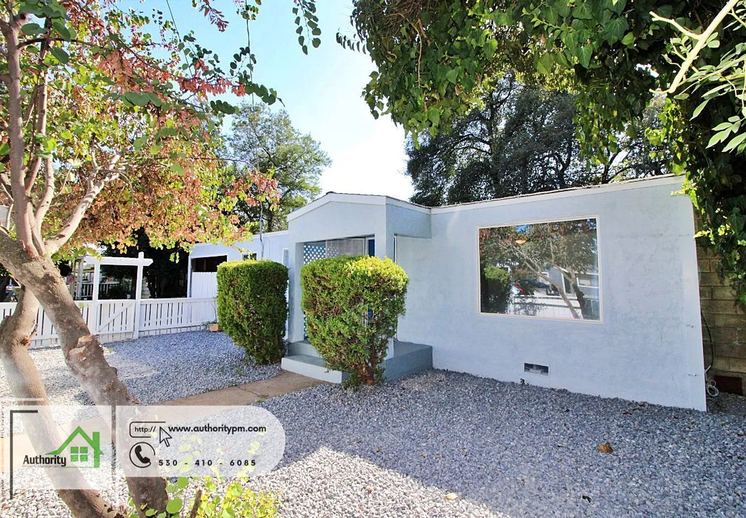 2 bed, 1.0 bath, 1000 sqft, $1,595 — Photo 2