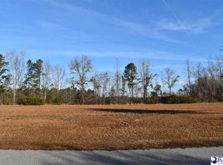 746 Tempe Ave, Pamplico, SC 29583