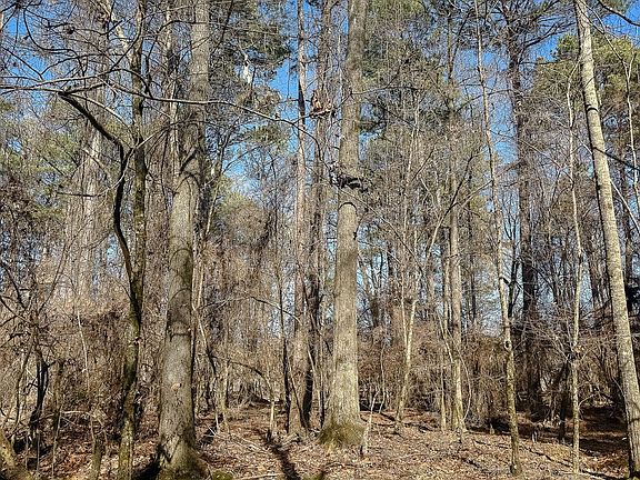 Compass South Land Sales Arkansas Fountain Creek 40