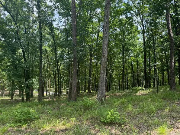 133 Bethesda Ridge Ln, Mena, AR 71953