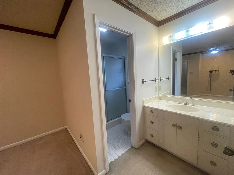 3506 Blue Willow Cir — Photo 8