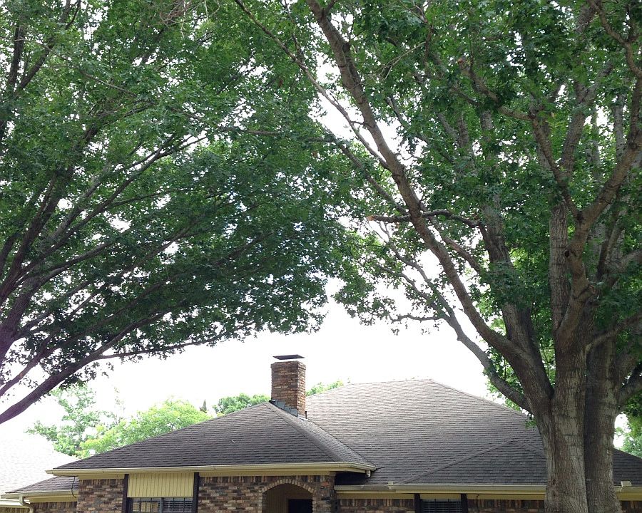 378842_FRONT_06132014