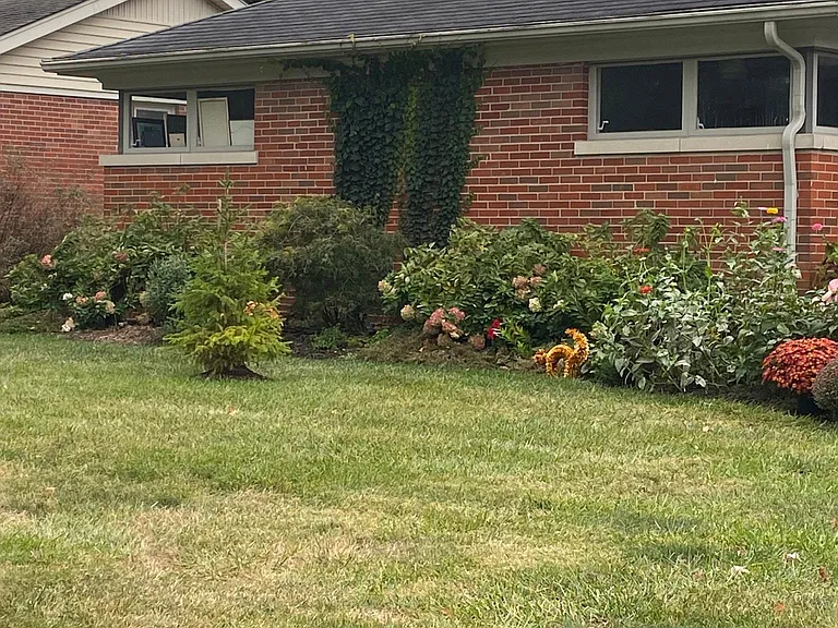 876 Robin Rd — Photo 3