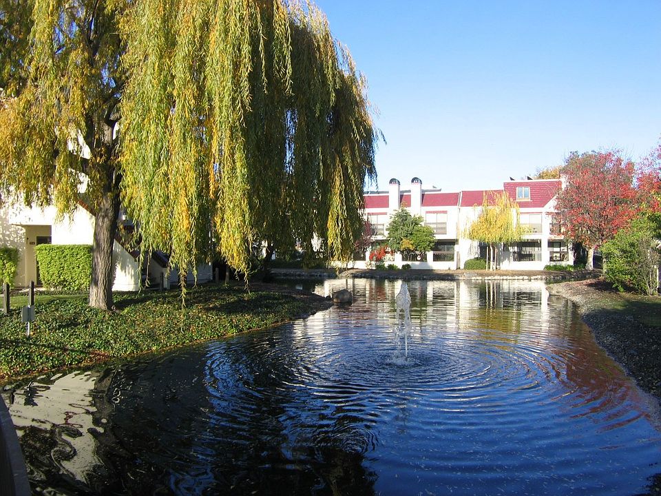 Complex Waterway