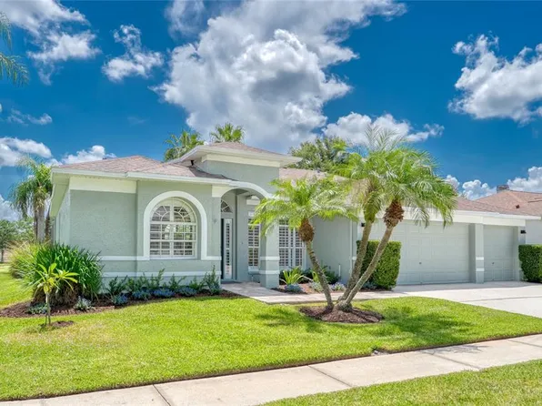 15619 Shoal Creek Pl, Odessa, FL 33556