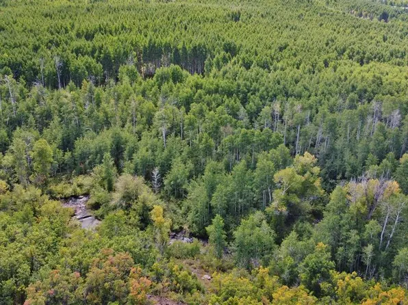 Lot 22 Stoney Creek Road, Hotchkiss, CO 81419