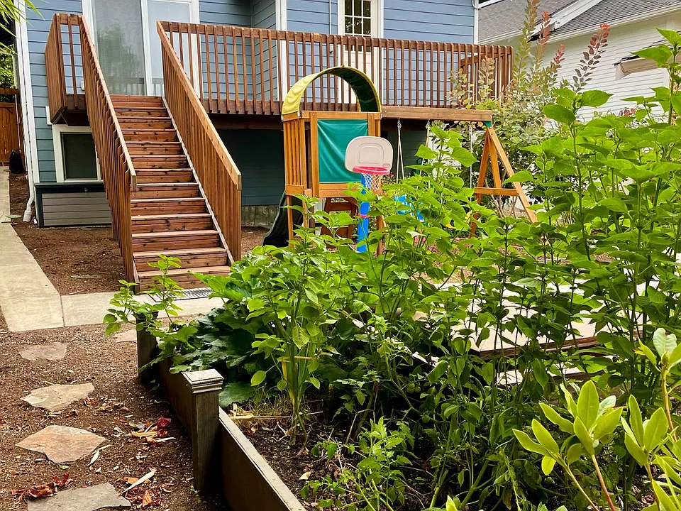 House from the backyard