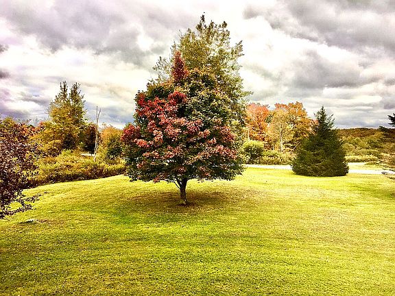 View from front porch