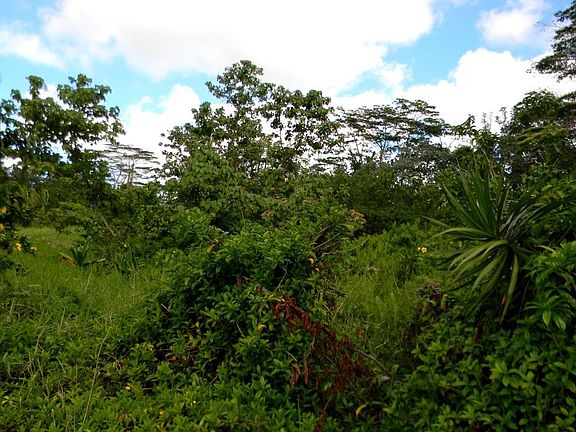 5th image of Kahakai Blvd Lot 182