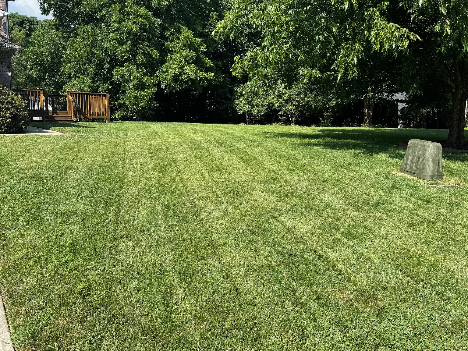 5 bed, 2440 sqft, $3,395 — Photo 4