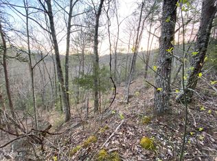 LOT 46 Beechwood Ln, Sevierville, TN 37876