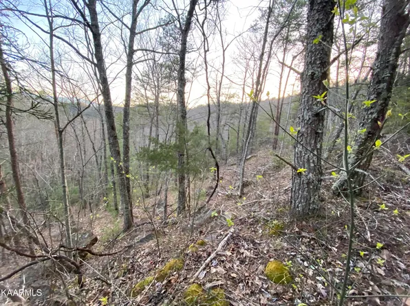 LOT 46 Beechwood Ln, Sevierville, TN 37876