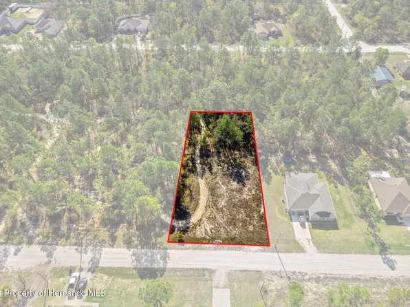 12348 Snowy Egret Ave, Spring Hill, FL 34606