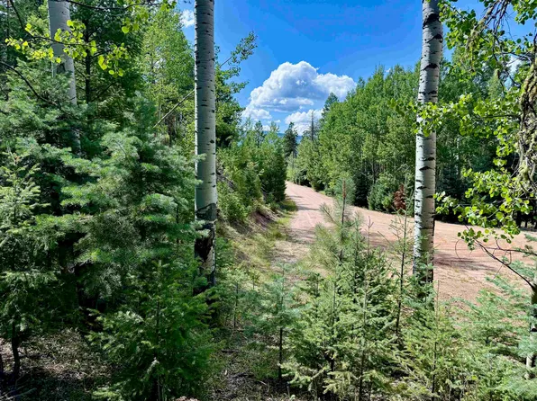 Lot 1568 Luna Drive, Angel Fire, NM 87710