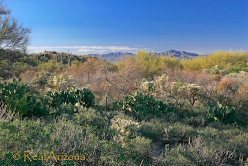 1st image of 13902 N Dove Canyon Pass