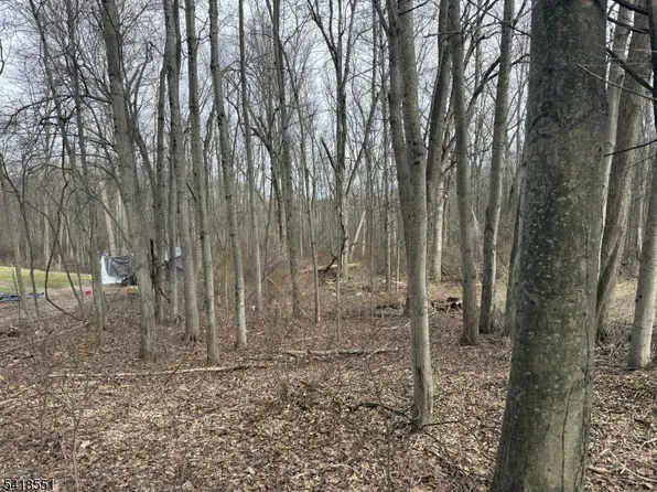 36 Countryside Rd, Knowlton Twp., NJ 07832