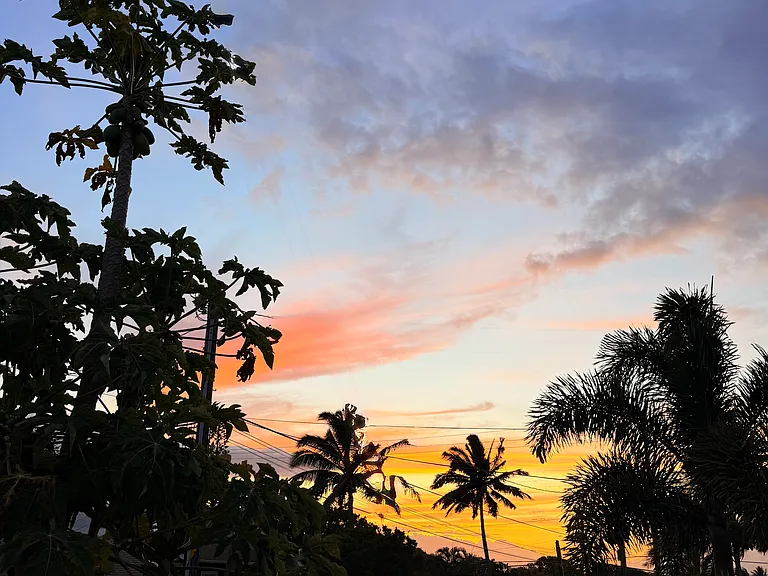 View from terrace. More photos to come soon!
