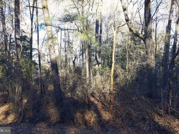 0 S Piney Point Rd, Bishopville, MD 21813
