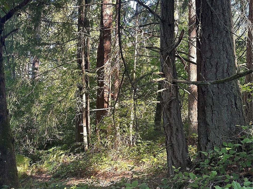 2nd image of 0 Walnut Lane