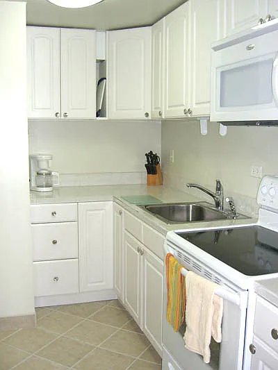 2572 Lemon Rd #1106 — Photo 5