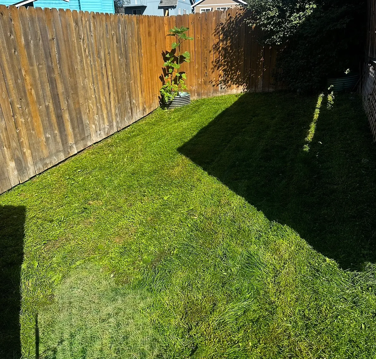 520 Misty Fjords Cir — Photo 1