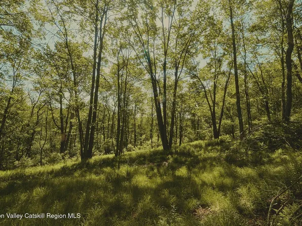 0 Benton Hollow Road, Liberty, NY 12754